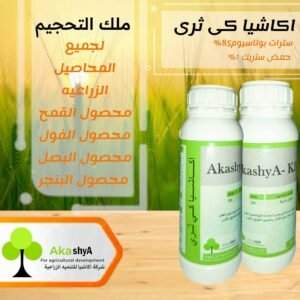 اكاشيا كى ثرى