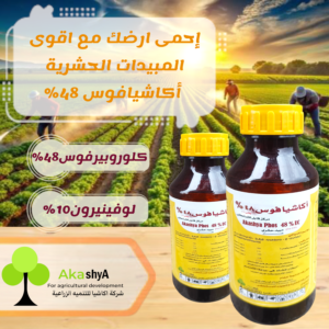 أكاشيافوس48%